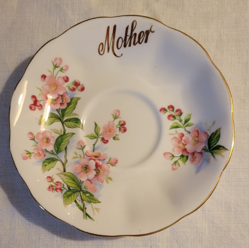 Mother saucer cherry blossom 🌸